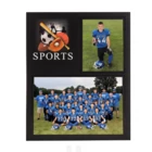 We also sell a similar product PS-100 All Sports Memory Mate by Tyndell