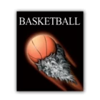 We also sell a similar product PS-203 Basketball Easel Mount - Clearance by Tyndell